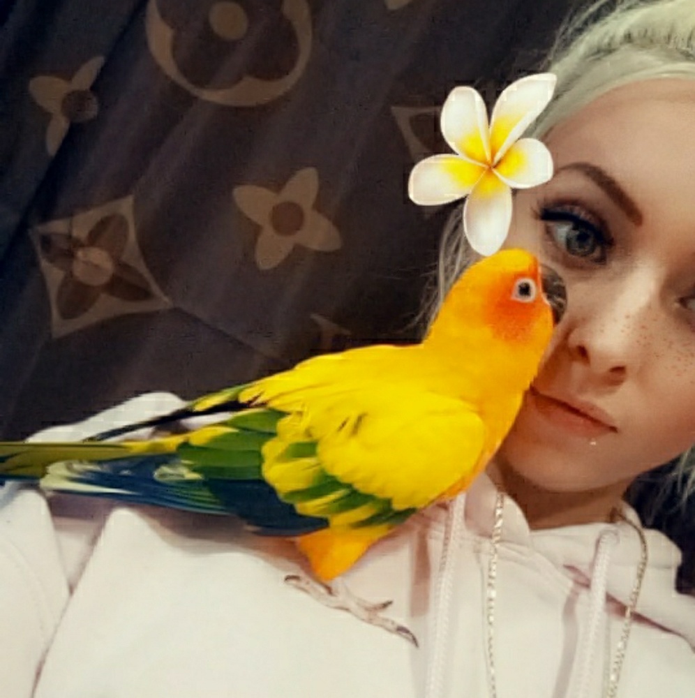 Meet your Posher, Melissa